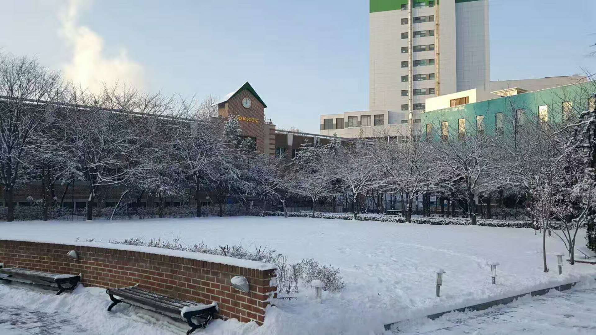 来自韩国留学生的分享