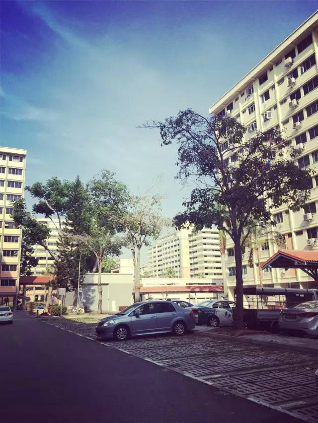 新加坡建筑工木工瓦工钢筋工