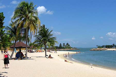 新加坡文员、厨师、建筑工、司机各个工种招聘—办理流程快