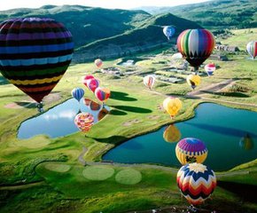 新西兰面点师招聘