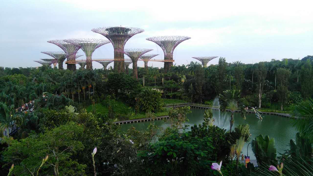 新加坡新单（三）厨师电焊司机文员销售等等行业招聘