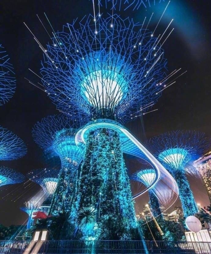 新加坡新单，出境快！待遇好！