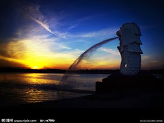 新加坡各工种新单，详情请点击