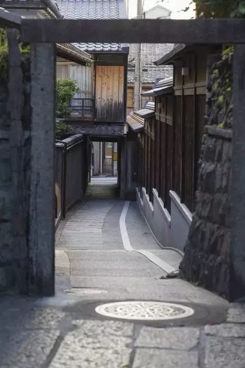 日本的街道真的非常干净，那么，日本人把垃圾都扔哪儿了呢？