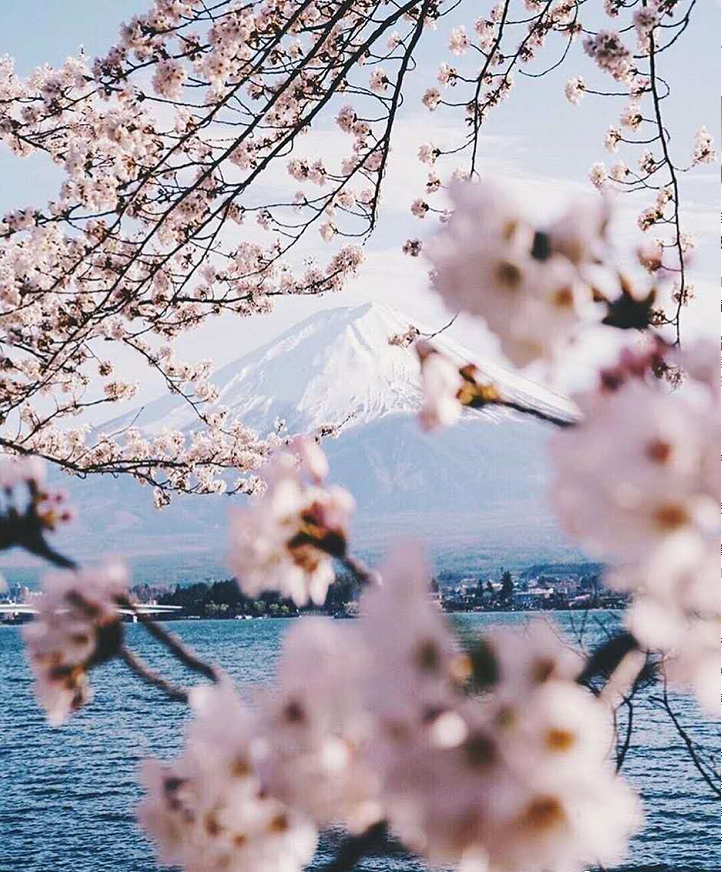 重要通知——日本签证变严了！请知悉！