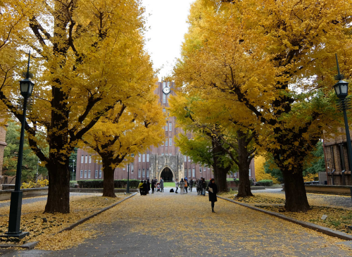 日本设立新签证制度，留学生毕业后可以最长2年的创业准备时间。