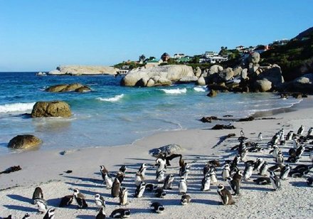 澳大利亚劳务丰富，年薪30万！