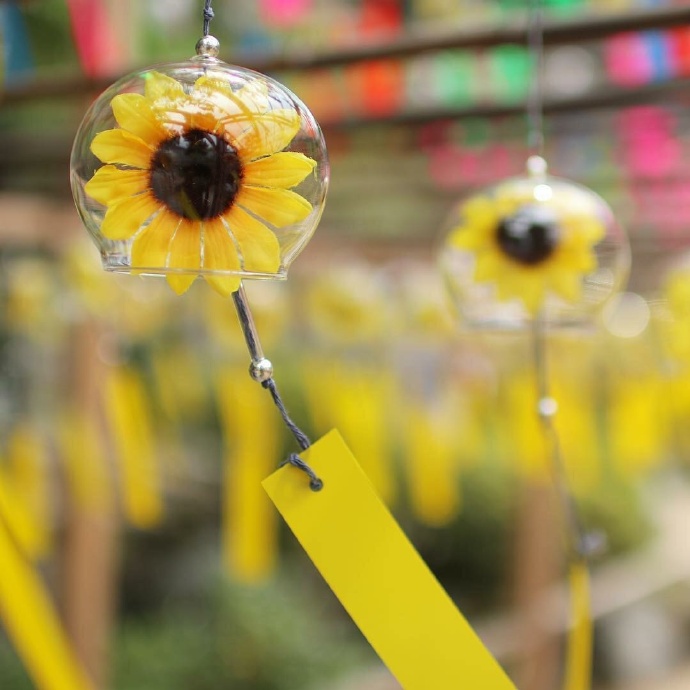 日本水果会社定向培养加高端就业