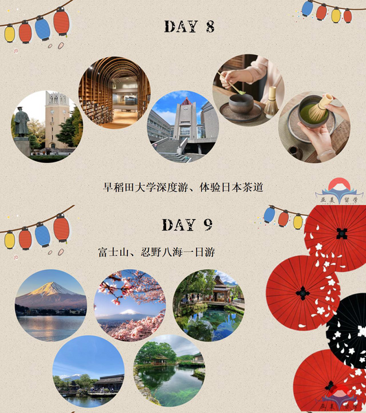 日本游学~在这个冬天主打一个探索之旅