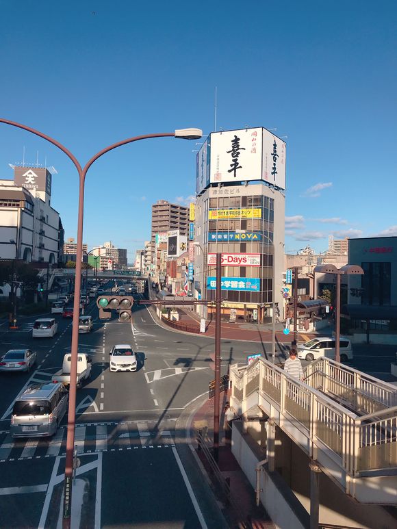 日本培训+高端就职工作