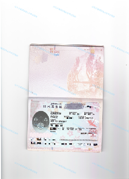 日本留学26年4月生出签~